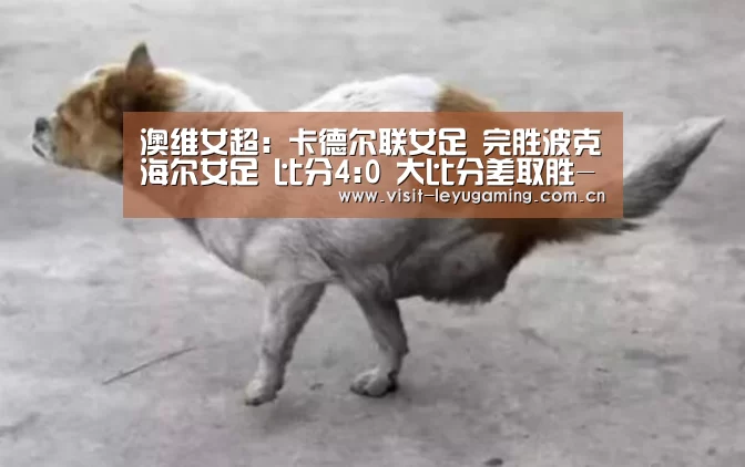 澳维女超: 卡德尔联女足 完胜波克海尔女足 比分4:0 大比分差取胜-发发发(图3) 乐鱼