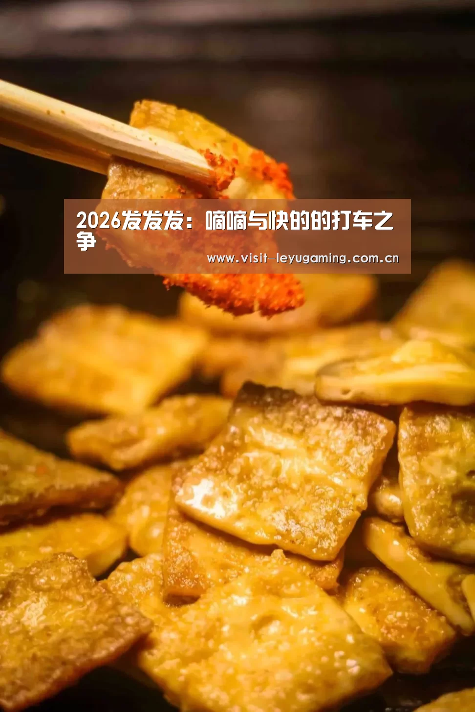 2026发发发:嘀嘀与快的的打车之争(图2) 乐鱼网址