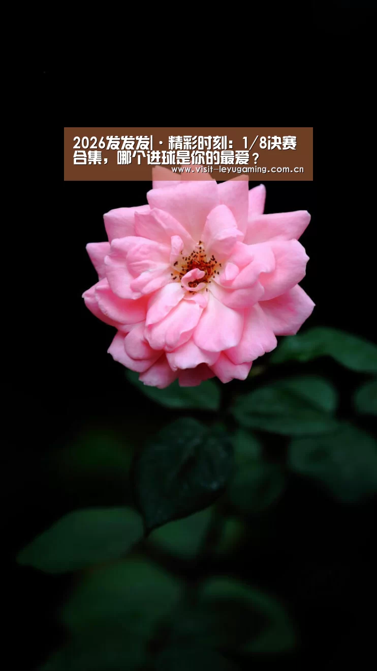 乐鱼